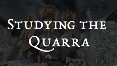 Studying the Quarra