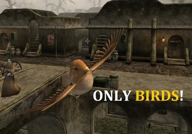 Only Birds