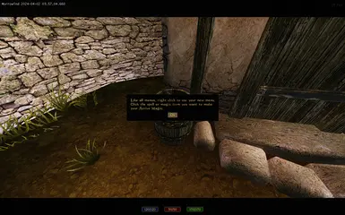 Clean all spell effects at start at Morrowind Nexus - mods and community