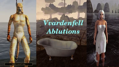 Vvardenfell Ablutions - A Bathing Mod