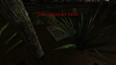 The Lighthouse Cellar
