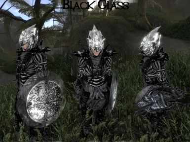 Black Glass Armor
