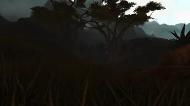 What do we have here?
