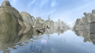 Flight Animated for OpenMW