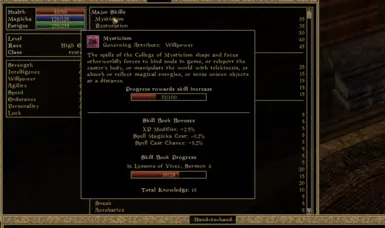 tooltip displayed for skills