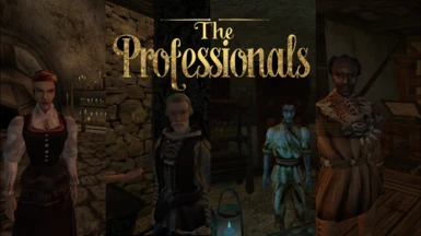 The Professionals Volume 2