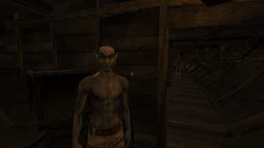 Westly faces refurbished and roberts bodies pbr and parallax (OpenMW)