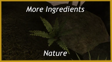 More Ingredients - Nature