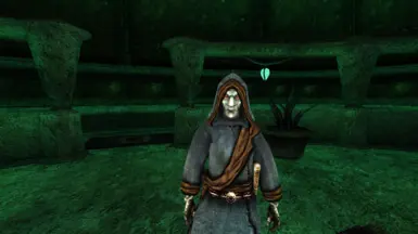 Some ugly mug of a Dunmer