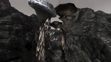 sams openmw height maps and normals for Markgran forest