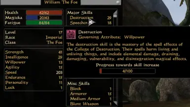 After Exp Gain
