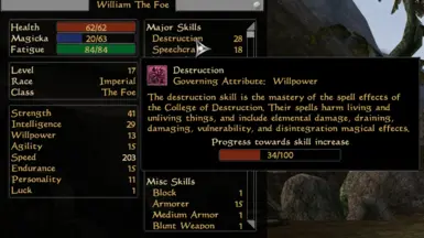 Before Exp Gain