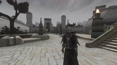Vanilla textures + no shader (TR)