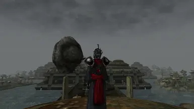 Fine Black Robe