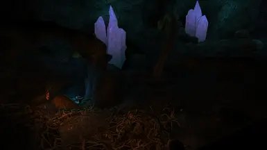 The tower dungeon