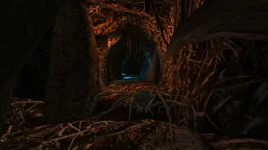 Spider tunnels in the tower dungeon