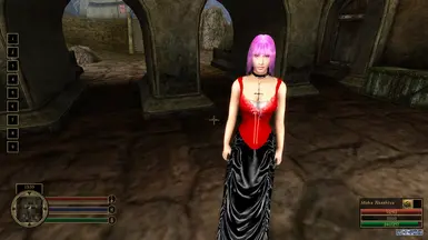 Alternate Outfit 2