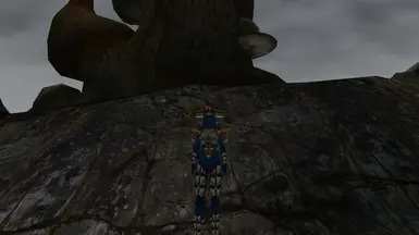 Telvanni Chitin Armor (Front View)