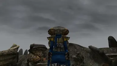 Telvanni Chitin Armor (Rear View)