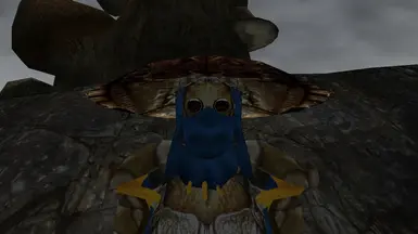 Telvanni Chitin Armor (Helmet)