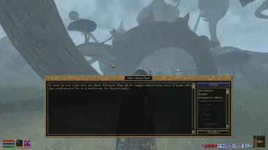 Tamriel Rebuilt (Ranyon-ruhn)