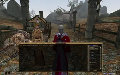 Add-on for certain Tamriel Rebuilt quests
