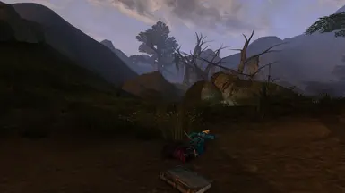 Just go straight from here !