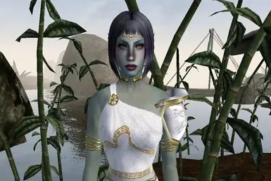 Vivi's Dunmer Head Replacer