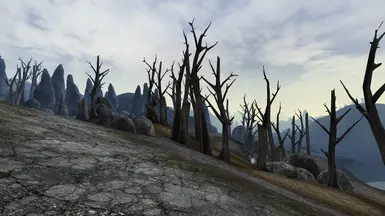 Vanilla