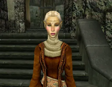 Vivi's Altmer Head Replacer