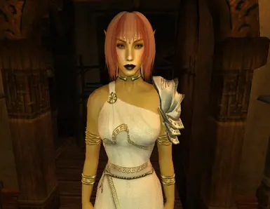 Vivi's Altmer Head Replacer 2