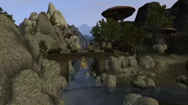 OPTIONAL Suran Bridge