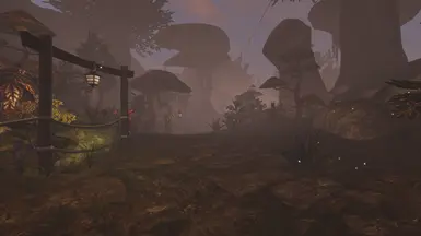 Along the Pilgrim's Path