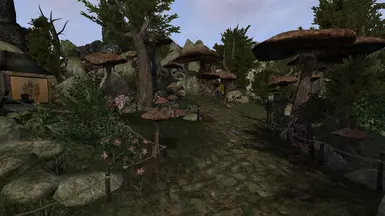 Along the Pilgrim's Path