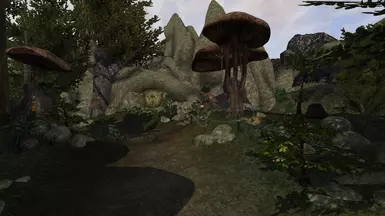 Along the Pilgrim's Path