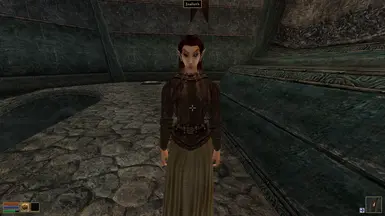 Populated Mournhold