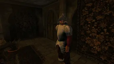 The armour now appears on the Company Guards in Ebonheart.