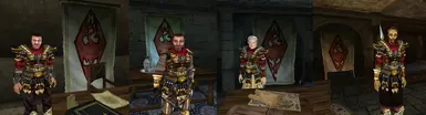 Legion Commander Colors