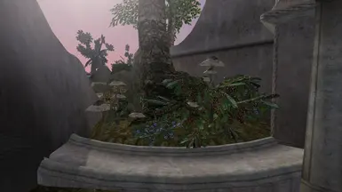 After 1st quest