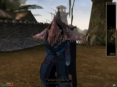 Telvanni Ceremonial Robe - Beast patch at Morrowind Nexus - Mods and ...