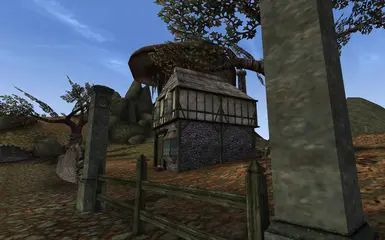The house