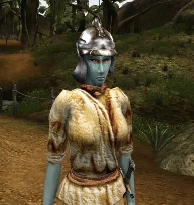 Alternate Open Helmets