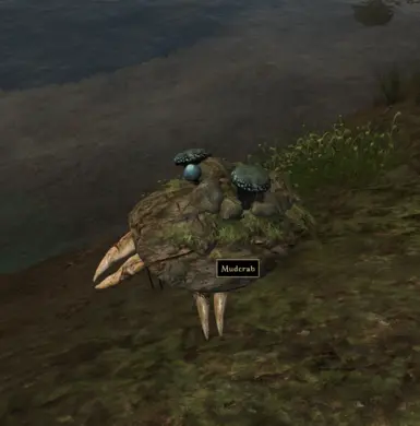 Crabs Diversity Edited