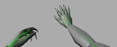 Just a little bit better animations for the beast build (first-person)