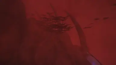 Cliff Racer Swarms at Red Mountain