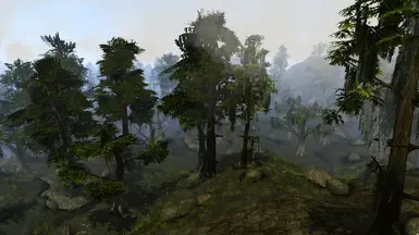 Vurt's Animated BC Trees