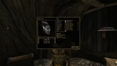 The Quickstart Addon makes character creation as fast as possible