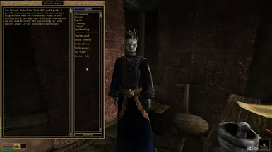 Raveth Indoril is the other guild guide that will offer teleport services to the other mage's guild locations