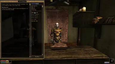 Teryn Sadras is the smith for The Strider's Guild, he also sells the Light Bonemold armor added by this mod
