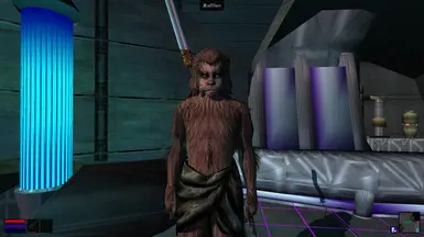New in 1.1